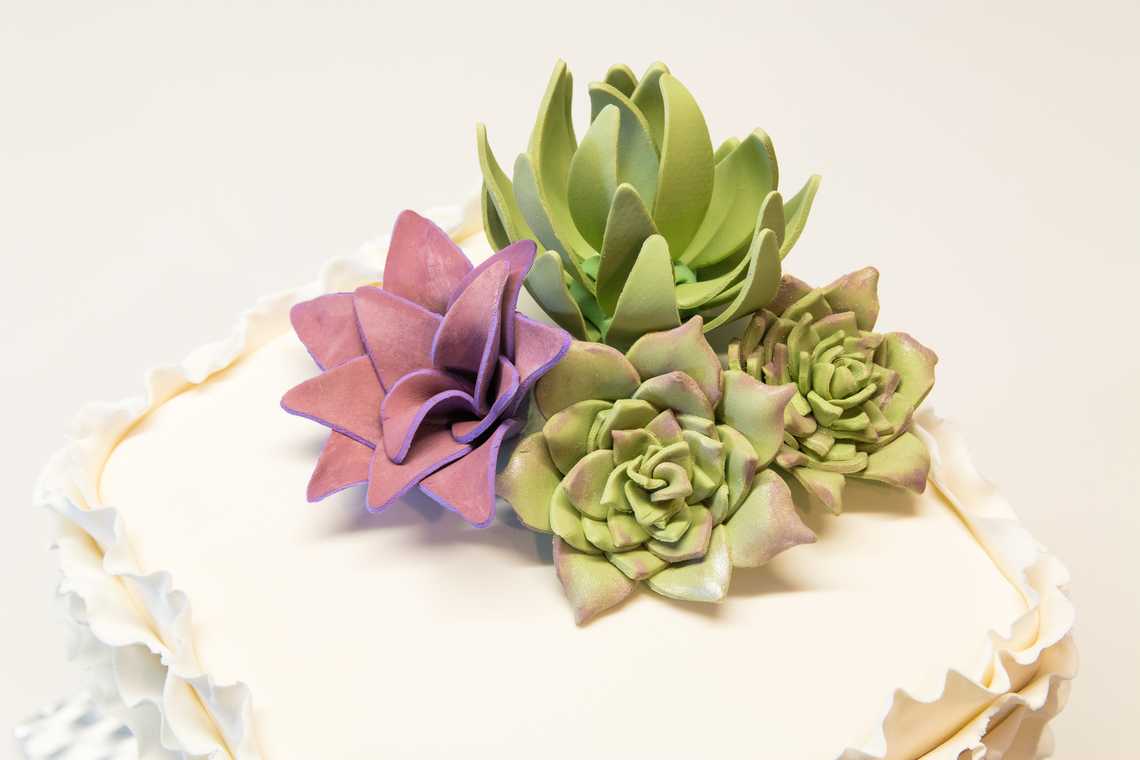 Close up on a Succulent Made with Fondant — February 5, 2016